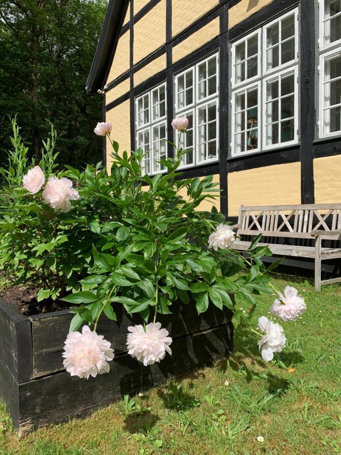 Hotel Egeskoven Viborg Exteriör bild
